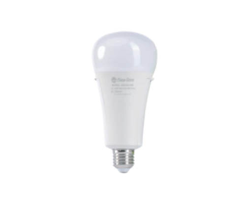 Bóng đèn LED Bulb lưu điện
